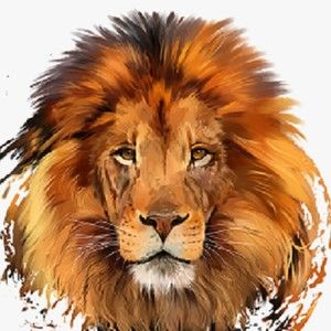 Meet your Posher, Ramando